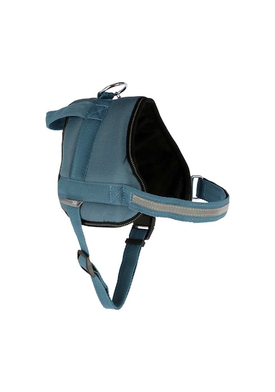 Belden Köpek Tasması Maestro 2.0 S  45-60 cm x 15 mm Mavi