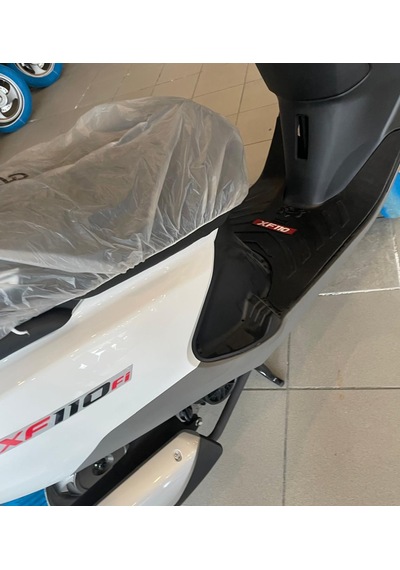 Motorsiklet Paspası, Xf110 Model Motor Paspası
