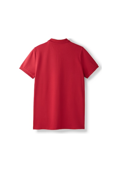 Gsstore Galatasaray Erkek Ata Polo T-shirt E251280 Kırmızı