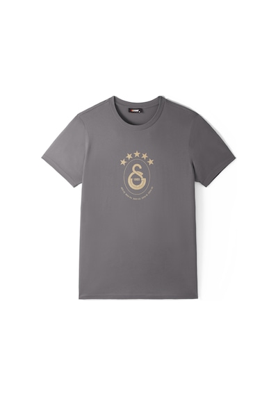 Gsstore Galatasaray 5 Yıldız T-shirt E251352 Antrasit