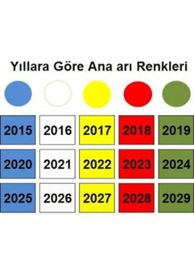 ANA ARI İŞARETLEME KALEMİ - BEYAZ