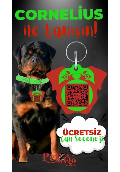 Petjoo 20.Cornelius Kırmızı-Yeşil Qr'lı Köpek Künyesi