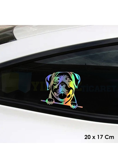 Bakan Köpek Araba Hologram Oto Sticker Cam Yapıştırma Etiket