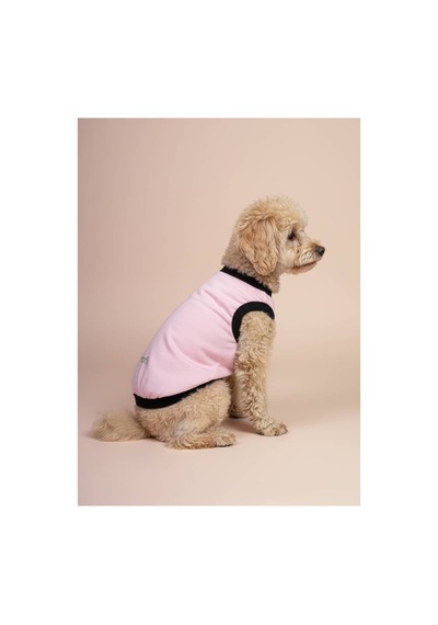 Kedi Ve Küçük Irk Köpekler İçin Günlük Kullanım Pamuklu Atlet
