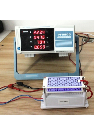 Taşınabilir Seramik Ozon Jeneratörü İki Yapraklı Hava Temizleme Cihazı Sterilizasyon Aktif Oksijen Arıtma Cihazı 220v 10g