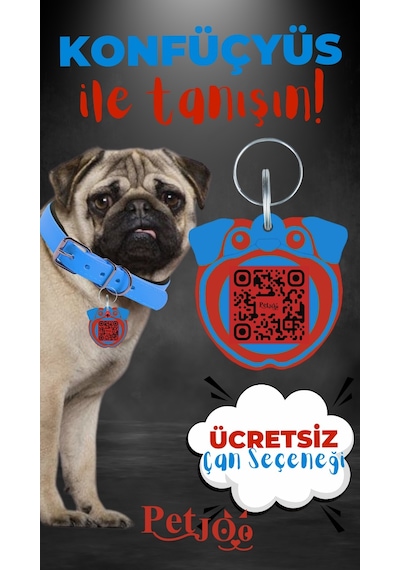 Petjoo 9.Konfüçyüs Kırmızı-Mavi Qr'lı Köpek Künyesi