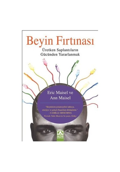 Beyin Fırtınası Ann Maisel Altın Kitaplar