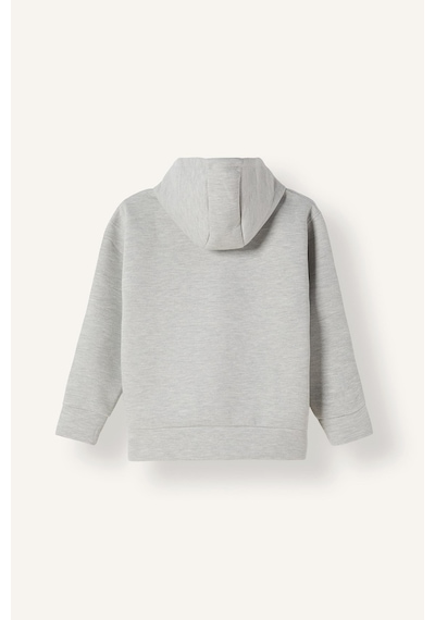 Defacto Fermuarlı Kapüşonlu Basic Sweatshirt Hırka Erkek Çocuk I3124a826augr210 Gri-gr210