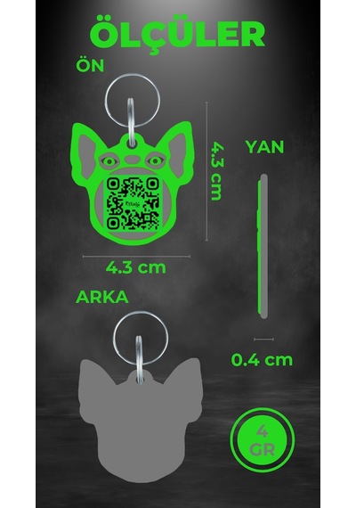 Petjoo 7.Hook Gri-Yeşil Qr'lı Köpek Künyesi