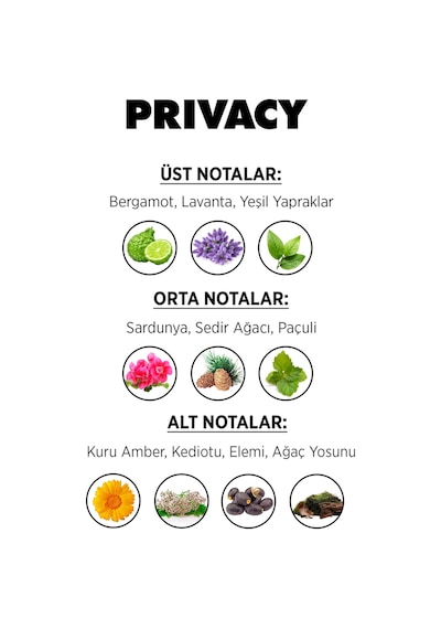 Privacy Addiction Erkek Parfüm EDT 100 ML + Erkek Sprey Deodorant 3 x 150 ML