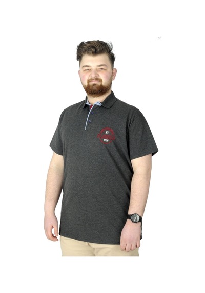 Mode Xl Erkek T-Shirt Polo Florida 22303 Antrasit 001