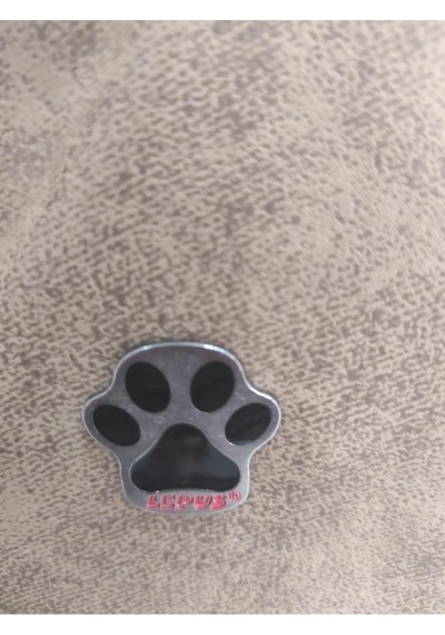 Lepus Köpek Kedi Araç Koltuğu Etnik