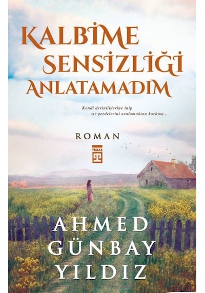 Kalbime Sensizliği  Anlatamadım