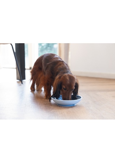 Hnrlıshp Beeztees Yavru Köpek Mama Yeme Oyuncağı, Silikon, Açık Mavi, 19cm