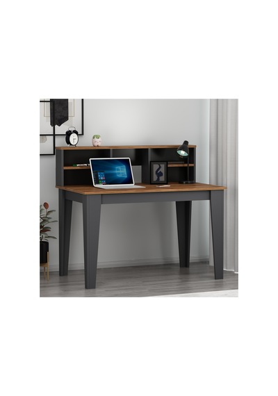 Liora Plus Antrasit Kemençe Çalışma Masası