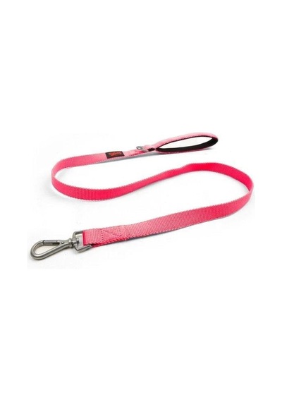 Tailpetz Match Leash Köpek Gezdirme Kayışı Neo-pembe Small Açık Mavi