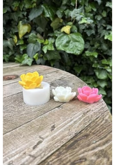 Sukulent Mum Kalıbı Silikon Çok Renkli