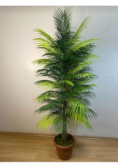Rüzgar Yapay Çiçekçilik 150 Cm Palmiye Ağacı Yeşil