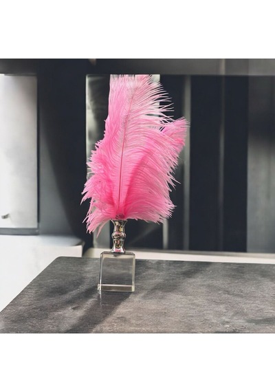 Dekoratif Küçük Boy Küp Kristal Cam Deve Kuşu Tüyü Açık Pembe Gümüş