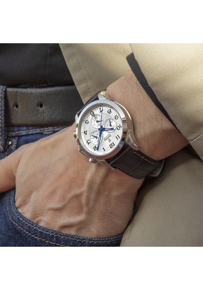 Festına Swıss F20094/1 Chrono Erkek Kol Saati Altın