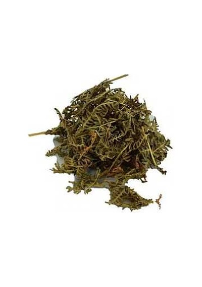 Eğrelti Otu Doğal 100 Gr Paket