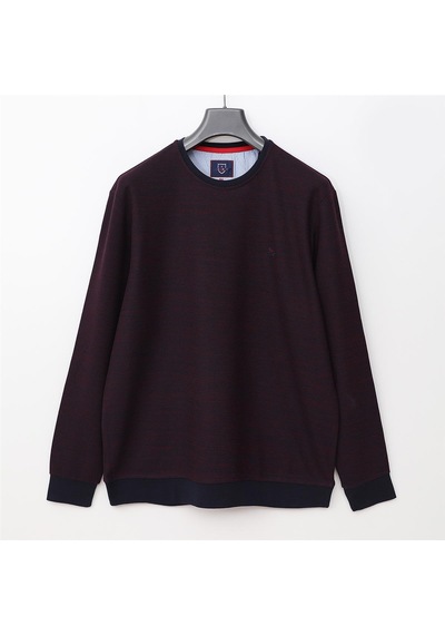 Dio Rise Erkek Uzun Kol İnce Sweatshirt - Czt-126 - Bordo - Lacivert Bordo - Lacivert Dio Rise Erkek Uzun Kol İnce Sweatshirt - Czt-126 - Bordo - Lacivert Bordo - Lacivert