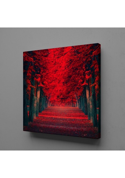 Kırmızı Ağaçlı Yol Kanvas Tablo 100x100cm