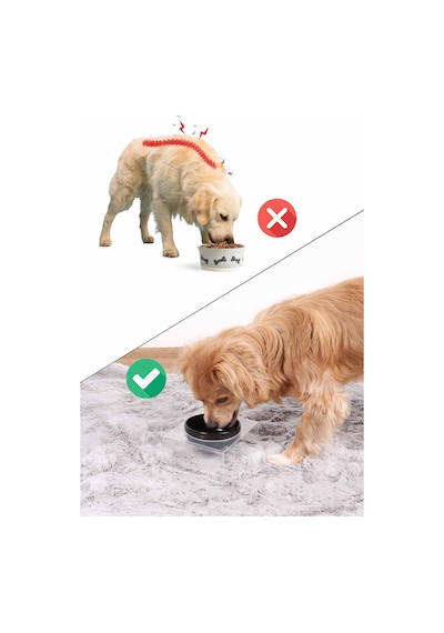 2'li Seramik Dekoratif Kedi Ve Köpek Pleksi Mama & Su Kabı Paspas