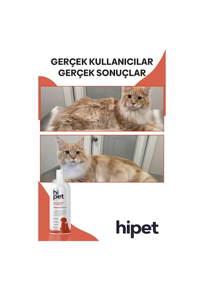 HiPet Kedi Kuru Şampuan