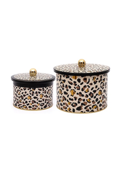 Evle Leo Topuz Kulplu Saklama Kabı 2'li Set 17.5 x 13 CM + 14 x 10 CM