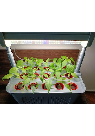 Aydınlatmalı Grow Led'li Topraksız Tarım Hidroponik Yetiştirme Seti