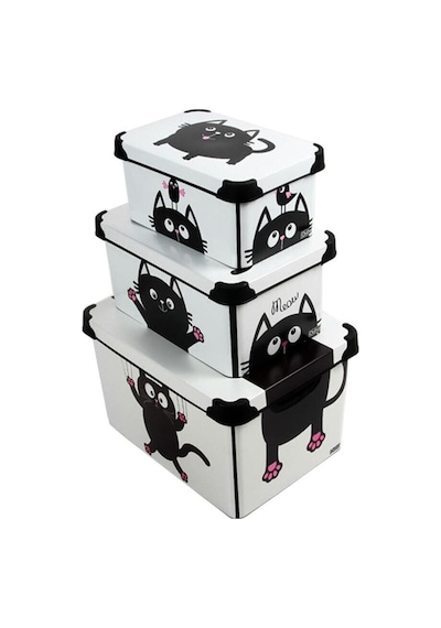 Style Box Meowdesenli 3 Parça Dekoratif Saklama Kutusu Seti Çok Renkli