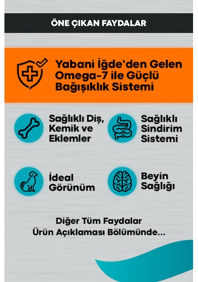 Peritas Signature Kuzulu Küçük Irk Yetişkin Köpek Maması 3 KG