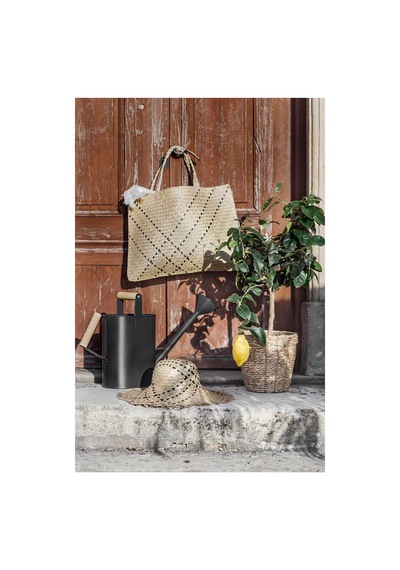 Vallmofrön Rattan Saksı, Deniz Sazı 17497324