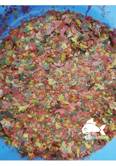 Atılım Akvaryum Lepistes Molly Plati Tetra Canlı Doğuran Balık Yemi 100 G