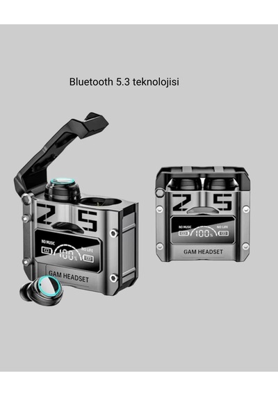 Home Bluetooth 5.3 Kablosuz Kulaklık Ultra Hd Ses Kalitesi, Gürültü Engelleme Diğer