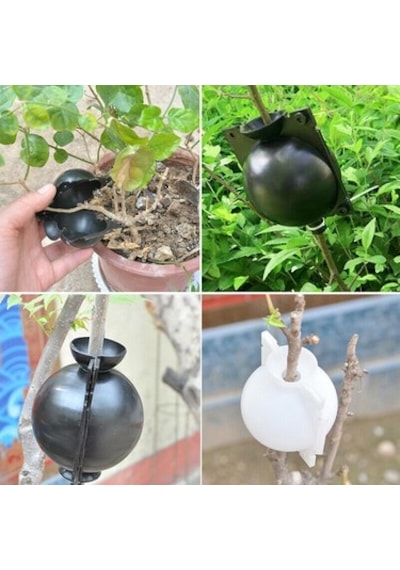 Bitki Köklendirme Aparatı Plastik Top Fide Kök Saldı .