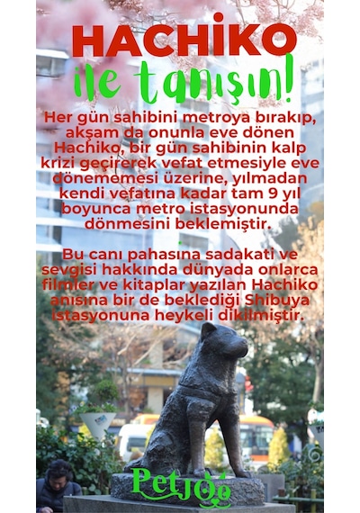 Petjoo 19.Hachiko Yeşil-Kırmızı Qr'lı Köpek Künyesi