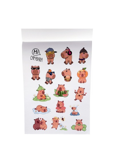 Karışık Sticker Defter 2 Sayfa Capybara Kapibara Diğer