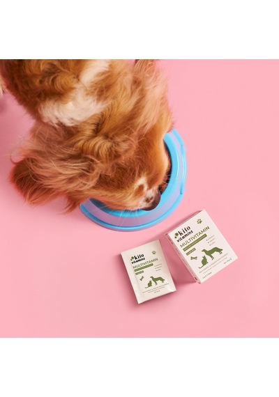 Kito Kedi Ve Köpekler İçin Multivitamin Bağışıklık Sistemi Tamamlayıcı 2g X 15 Saşe