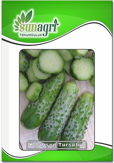 Kornişon Salatalık Tohumu Turşuluk 3 GR