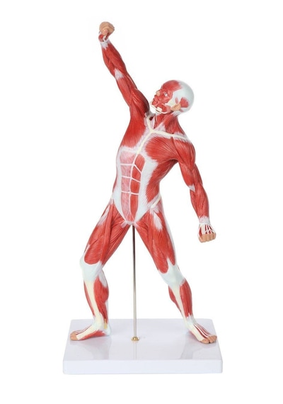 Kas Yapısı Modeli, 52 Cm, Gerçek Boyutun 1/4'ü Ölçülerinde, - Kas Maketi 01