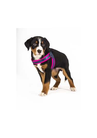 Max & Molly Q-Fit Matrix Pink Göğüs Tasması Pembe XL Pembe