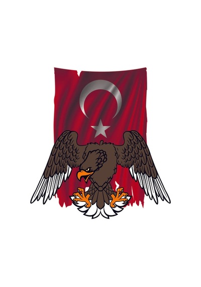Kartal Türk Bayrağı Sticker Yapıştırma 18Cm