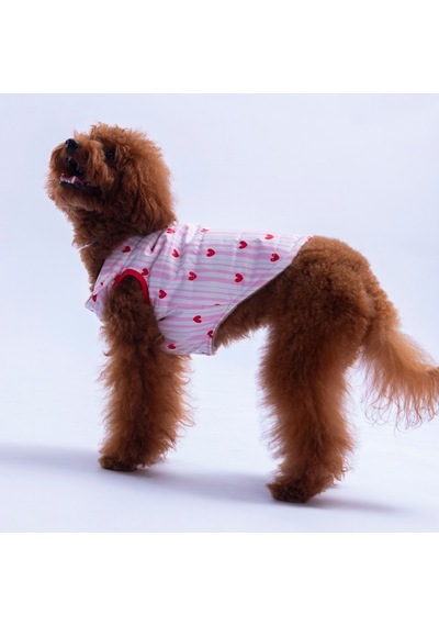 Moyo Pembe Çizgili Kalp Desen Yelek Köpek Yeleği Köpek Kıyafeti Köpek Yağmurluk
