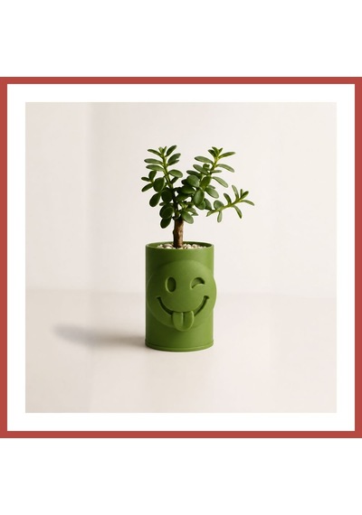 Bezos 3d Baskı Emoji Planter - Göz Kırpan Yüzlü Sukulent Saksısı-yeşil Erdotıca Standart