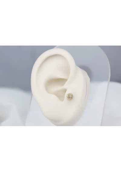 Glorria Altın Gül Tragus Piercing Çok Renkli