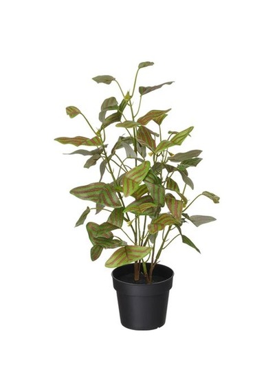 Ikea Fejka Yapay Bitki, Yeşil, 9 Cm, İç/dış Mekan Kelebek Çalısı