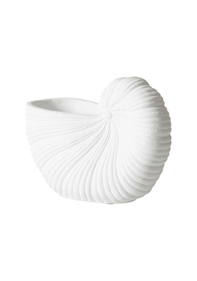 Mudo Home Whıte Shell Vazo 21x10x15 Cm Diğer