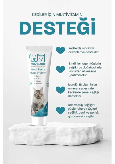 Kedi Multivitamin Malt Macunu